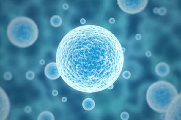 50岁了60还梦见自己考上大学_迟来的大学梦图片