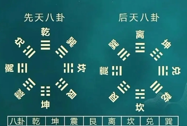 12生肖排行榜年龄_年龄排行全览