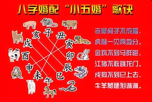 50岁女人梦见自己掉头发