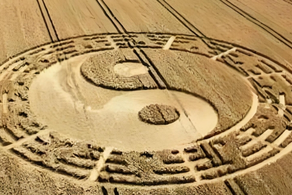 88年龙2024年有三喜_福运相随