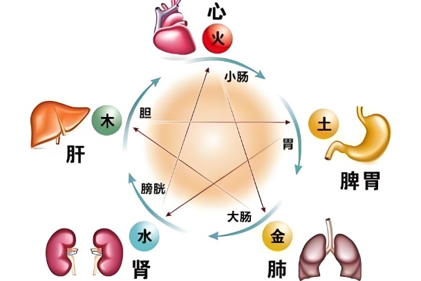 40多的女人梦到自己怀孕大肚子