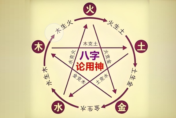 12属相排序表_生肖排行解读