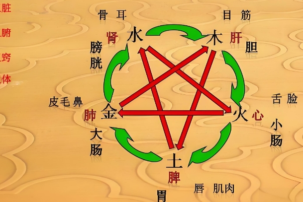 83年属猪40岁以后大运_中年转运详解