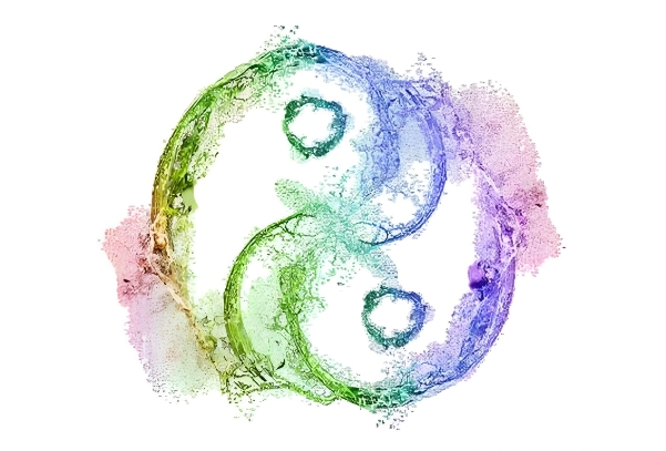 12生肖下周运势提前报_运势速递