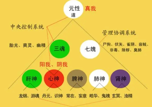 18种预示好运来临的梦
