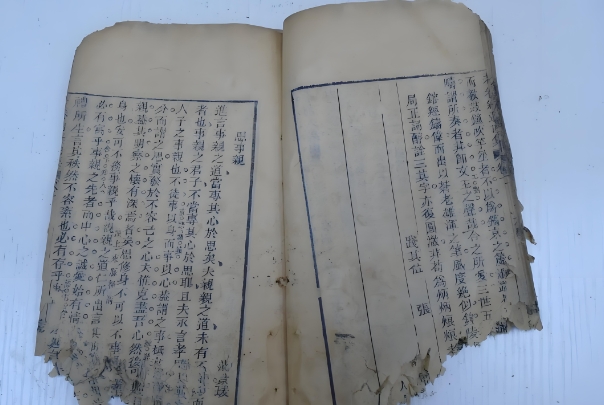 12生肖每日运势图片