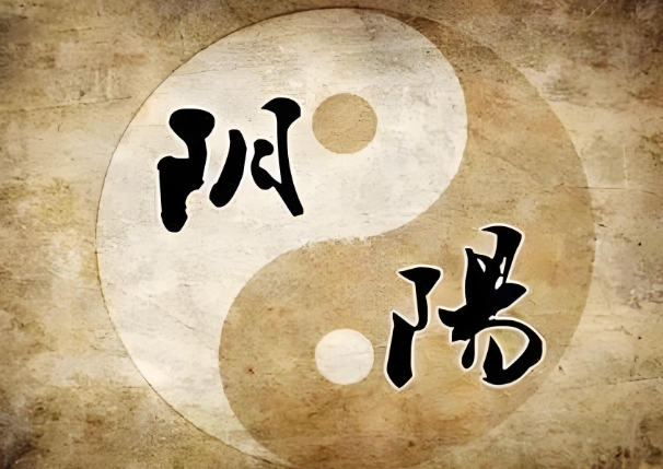 鼠牛虎兔龙蛇马羊猴鸡狗猪图片