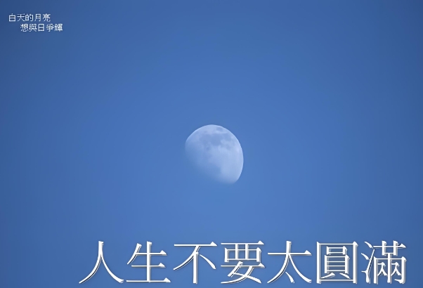 84年鼠41岁后十年_智慧新章图片