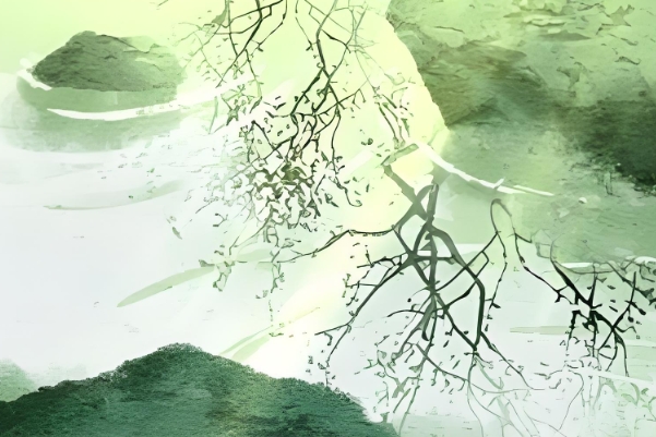 4个征兆说明你怀女孩了