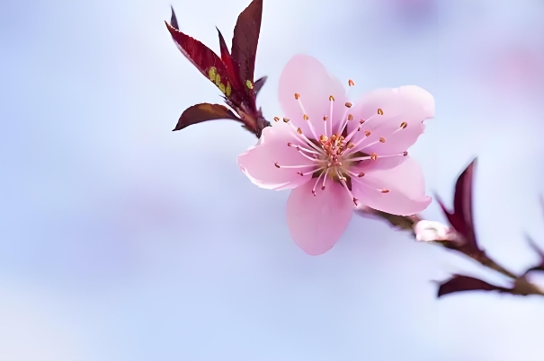 90属马一生转折点_90马命运转折