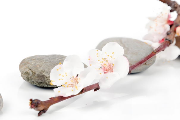 50岁女人梦见自己洗头_梦里新生