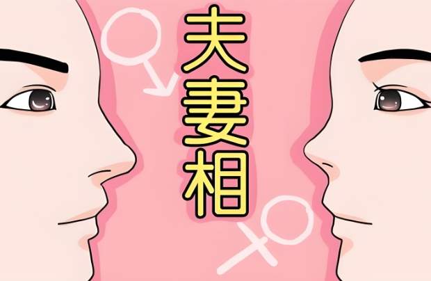 50岁梦见自己怀孕是啥预兆