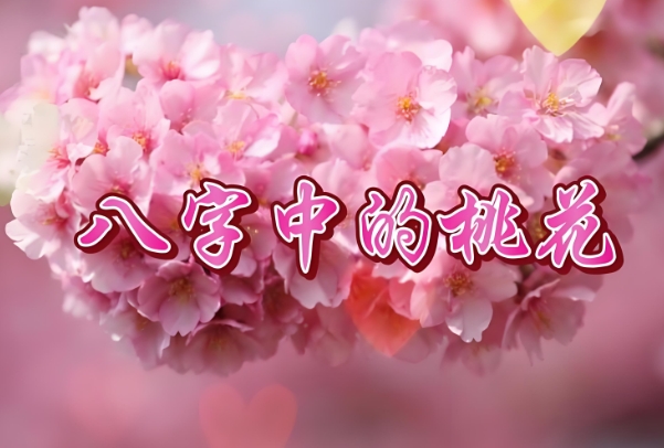 83年属猪人最穷不过41岁_转运从41岁起图片