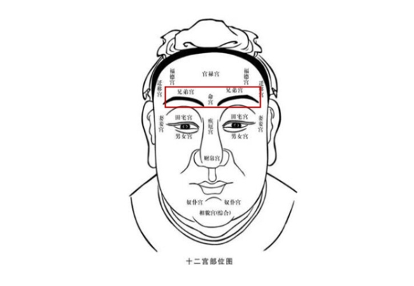 08年属什么生肖图片