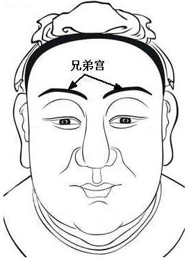 81年属什么生肖_81年属鸡详解