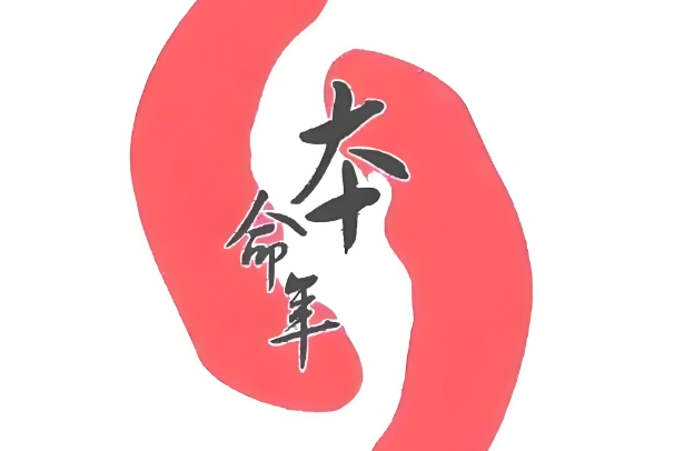 78年属什么生肖_马年性格全解