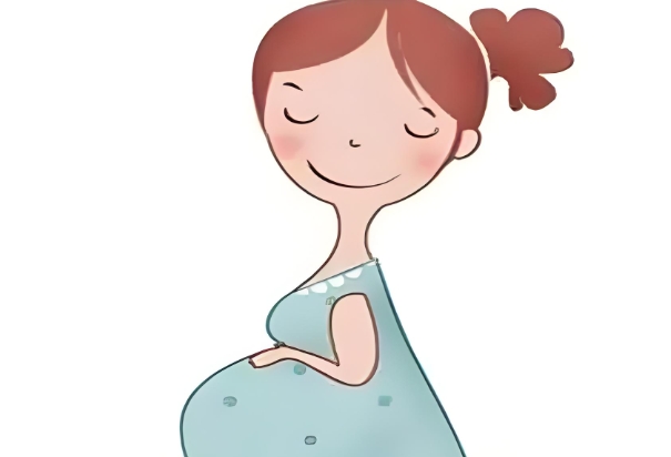 12生肖排名表图片