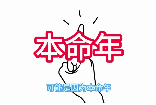 12生肖图片高清图片_十二生肖高清图集