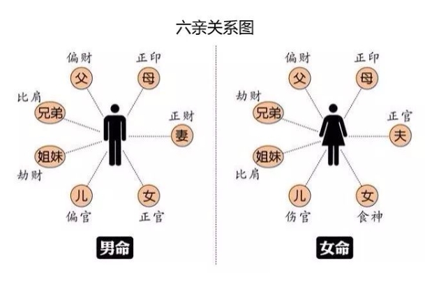 88属龙一生转折点_命运关键年
