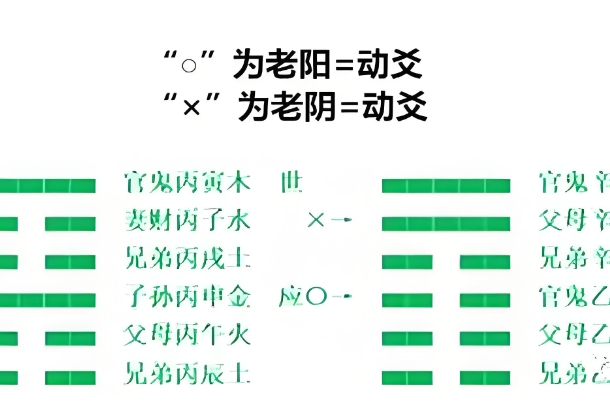 00年属什么生肖_千禧之龙