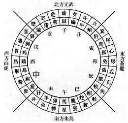 60多岁老人梦见蛇图片