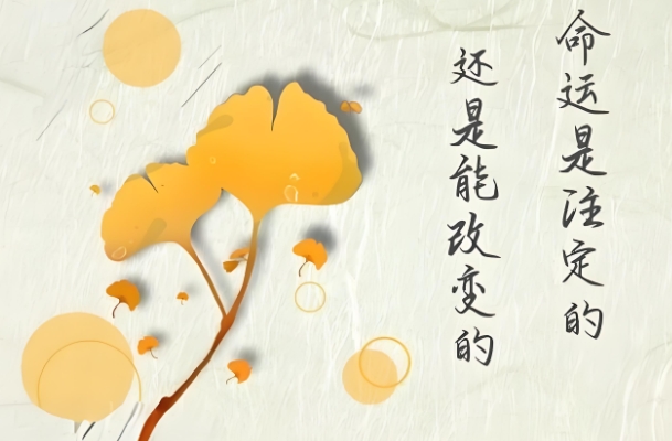 87属兔2024年有三喜_三喜临门