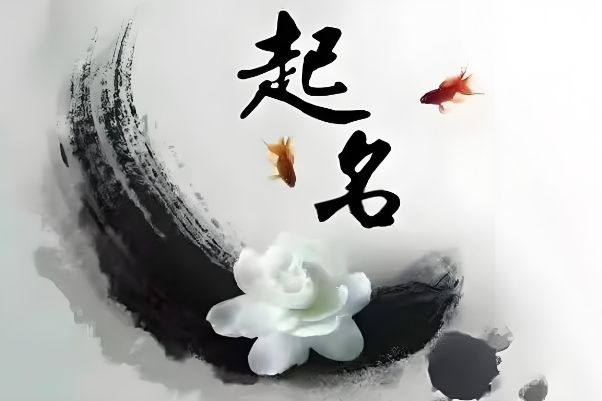 87年的兔子一生的婚姻如何_87兔婚姻解读