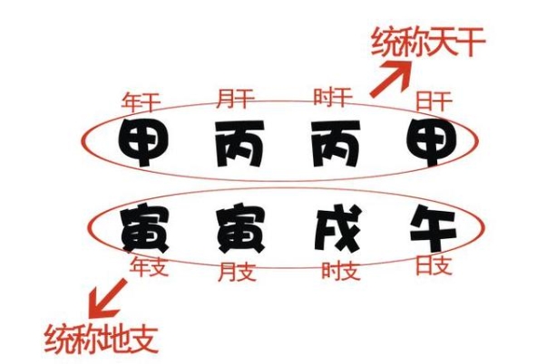 78年属什么今年多大_马年48岁