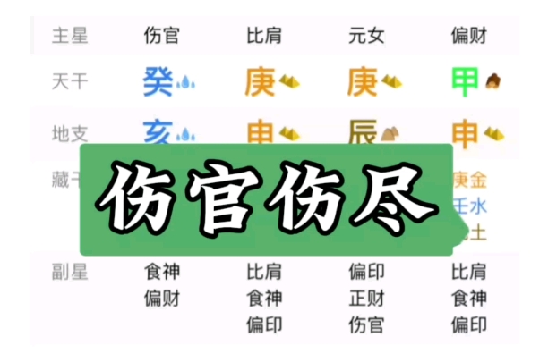 鼠牛虎兔龙蛇马羊猴鸡狗猪图片