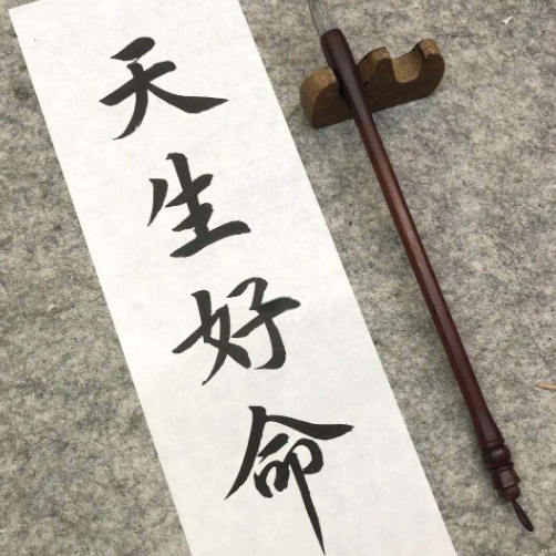 12十二生肖配对表图片