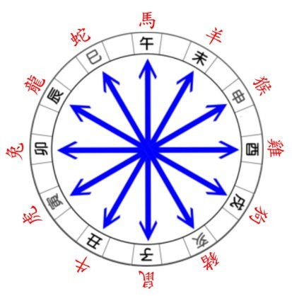 40多岁女人梦见蛇