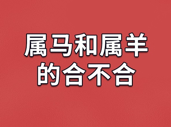 17周公解梦大全查询