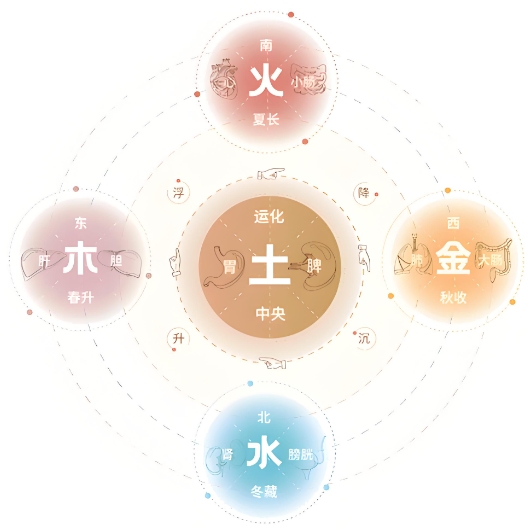 45岁女人梦见蛇预示着什么_蛇意象解读