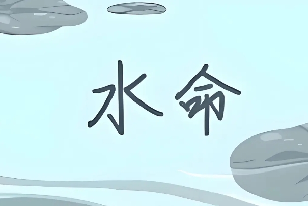 12属相命运大全