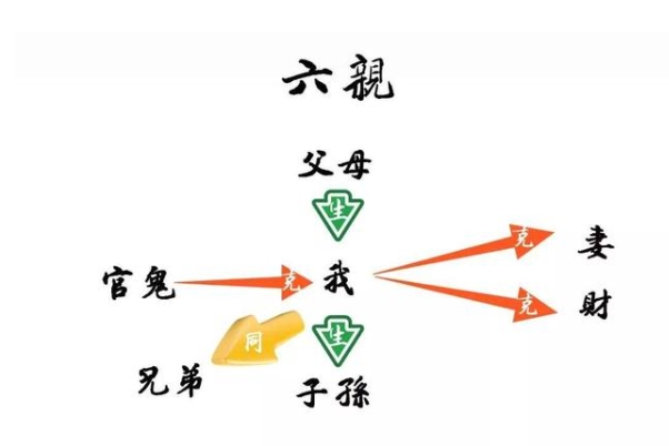 72年生肖属鼠的运程_鼠年运势全览