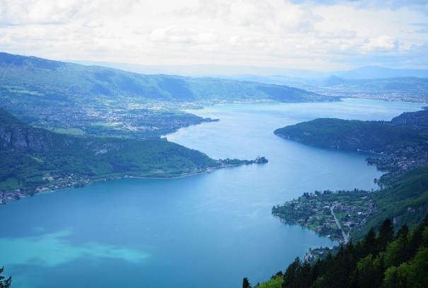 50岁到60岁梦到蛇咬自己_中年蛇咬梦